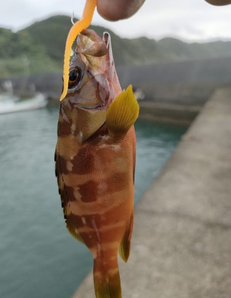 秋の連休遠征釣行初日