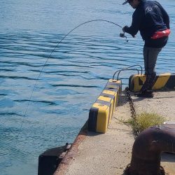 和歌山県日置川河口で紀州釣り