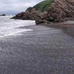 三重県釣りキャンプ