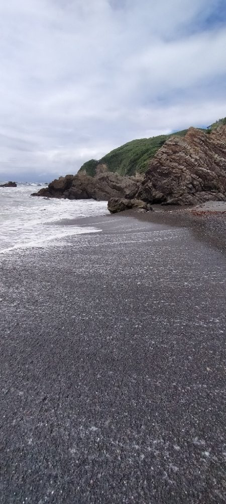 三重県釣りキャンプ