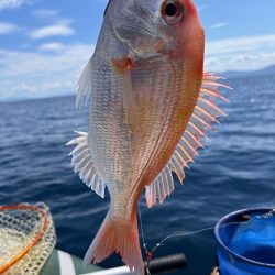 マイボートでアマダイ釣り