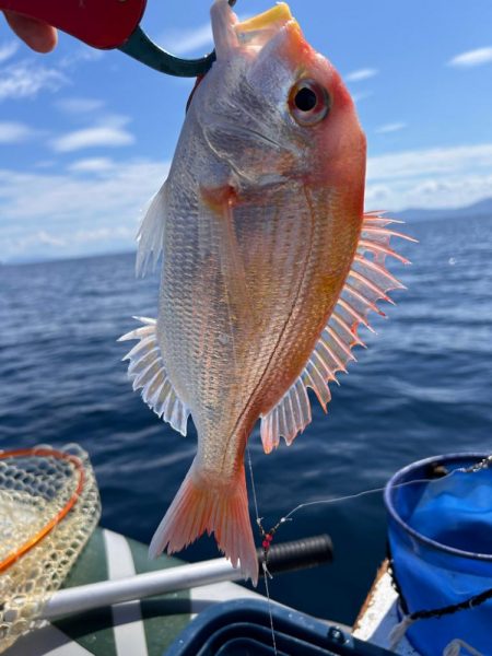 マイボートでアマダイ釣り