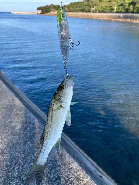 久しぶりの釣行！