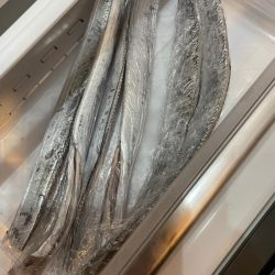 太刀魚浮き釣り