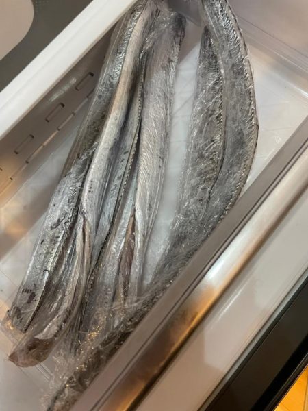 太刀魚浮き釣り