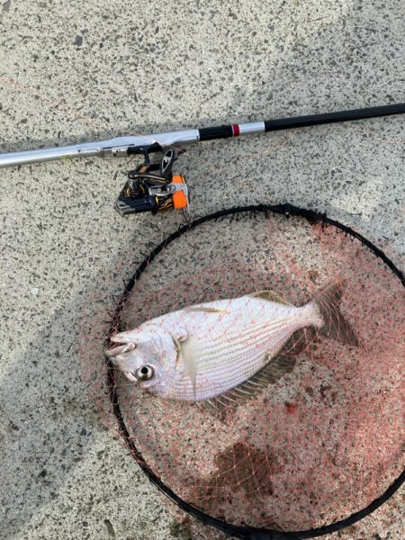 エビ撒き釣り