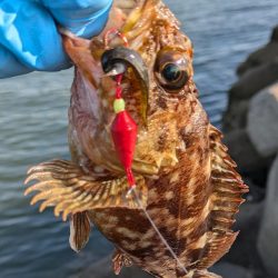 久々の穴釣り