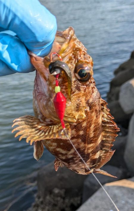 久々の穴釣り