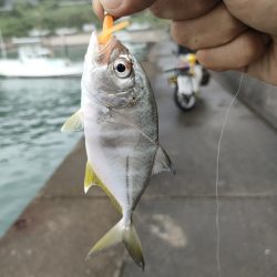 秋の連休遠征釣行初日