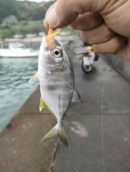 秋の連休遠征釣行初日