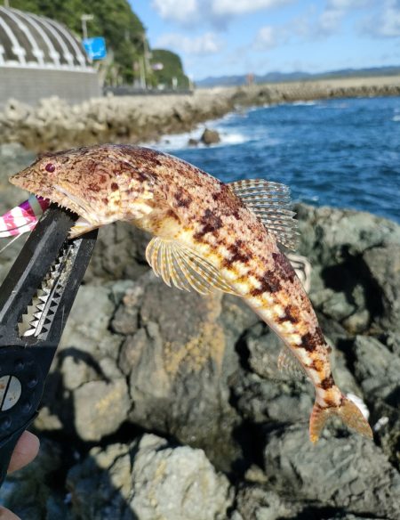 串本遠征釣行2日目