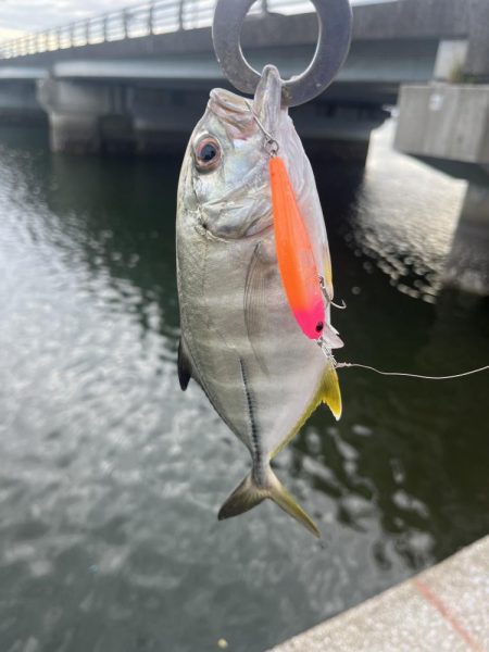 大分住吉川でメッキゲーム