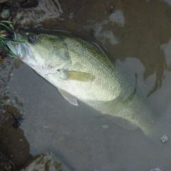 風が強く