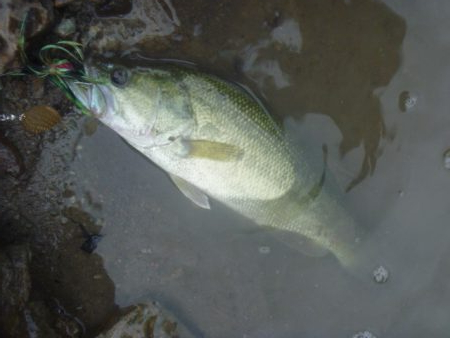 風が強く