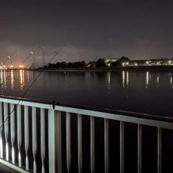 竿飛ばされそうになる夜のぶっこみ釣り