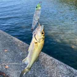 久しぶりの釣行！