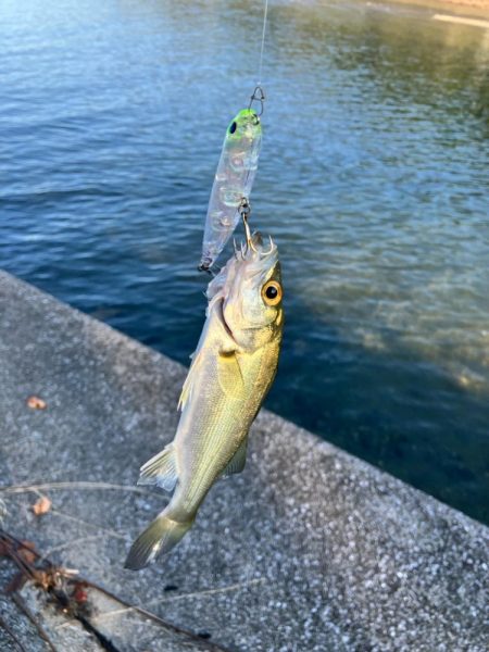 久しぶりの釣行！