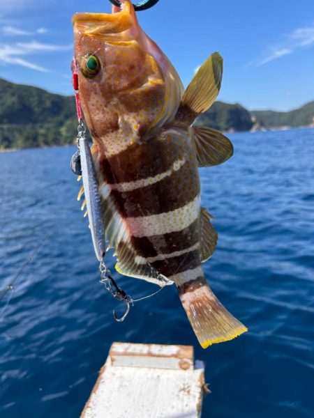 マイボートでアマダイ釣り