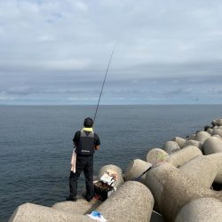 魚津港フカセ釣り