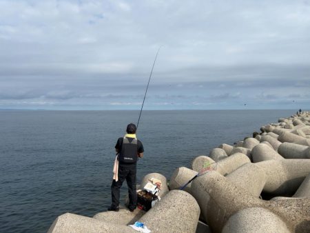 魚津港フカセ釣り