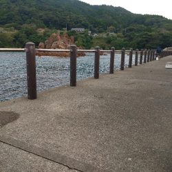 日本海釣行旅2