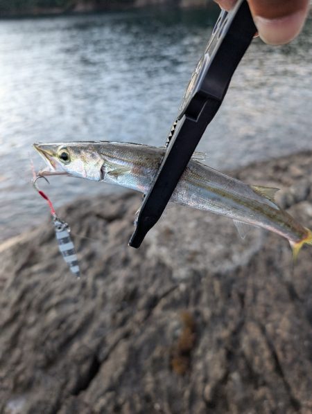 陸っぱり釣行記