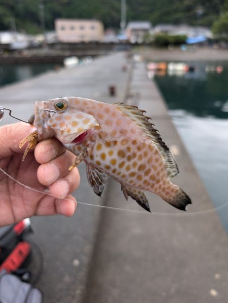 陸っぱり釣行記