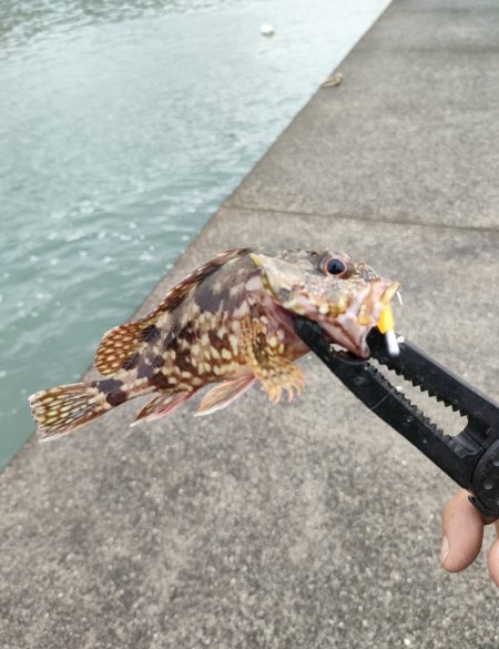 秋の連休遠征釣行初日