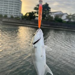 大分住吉川でメッキゲーム