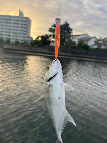 大分住吉川でメッキゲーム