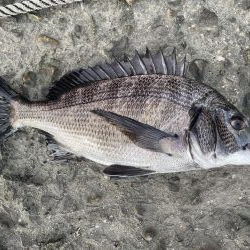 イチノ兄弟、釣果！