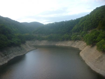 残暑バス釣り