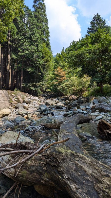 朝一入る川間違えたものの何とか釣れた