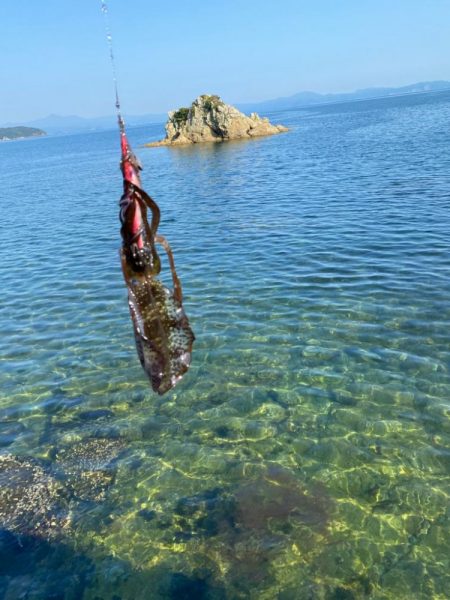 秋の数釣り