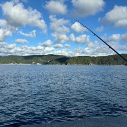 小浦一文字 通し釣り