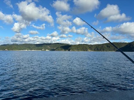 小浦一文字 通し釣り