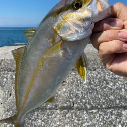 釣りシーズン開幕！