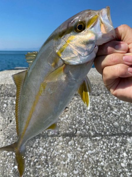 釣りシーズン開幕！