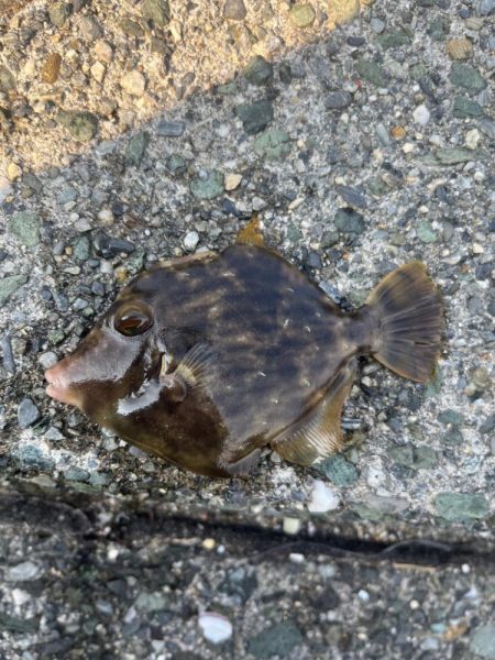 久々の釣り