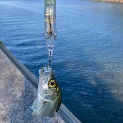 久しぶりの釣行！