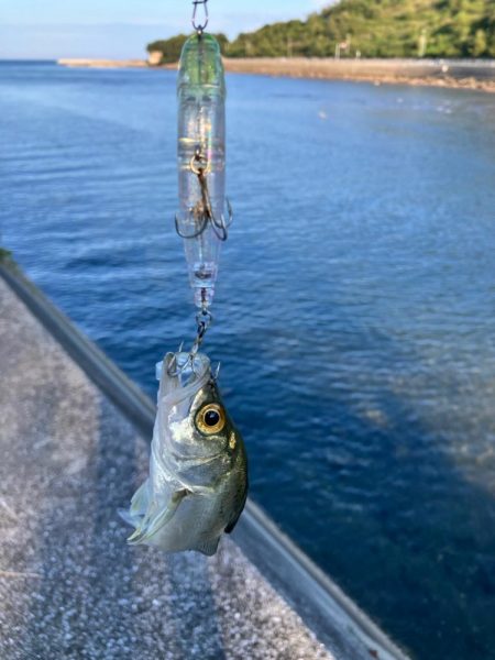 久しぶりの釣行！