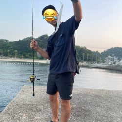 和歌山太刀魚調査