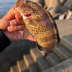 陸っぱり釣行記