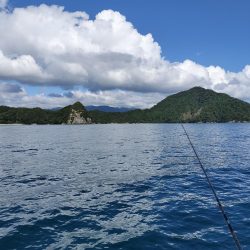 今年初のボートエギング