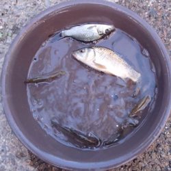 活性高く、楽しい小物釣り