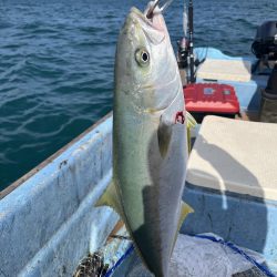 波戸岬沖でモンスターショット