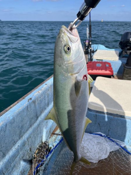 波戸岬沖でモンスターショット