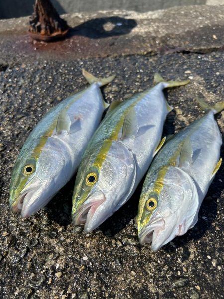 ★★初めてのマグロその後は青物連発★★