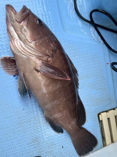 大原ヒラメ解禁、最初の土曜日釣行