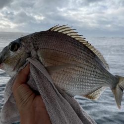 久しぶりの船釣り🎣